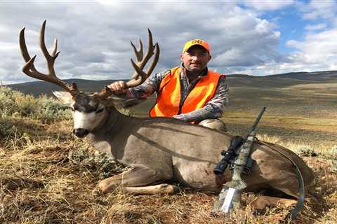 Best Mule Deer Cartridges