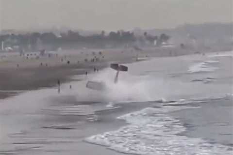 Shocking video shows plane crash on Los Angeles beach that killed former Santa Monica mayor Rex..