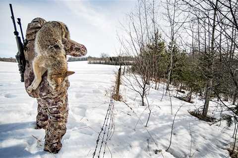 How to Hunt Coyotes: A Crash Course in Coyote Hunting Across the Country