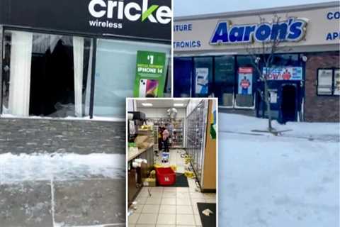 Looters ransack snowy buffalo while cops are stranded elsewhere