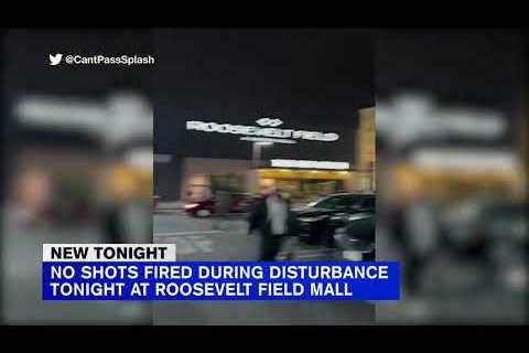 No shots fired during disturbance at Roosevelt Field Mall