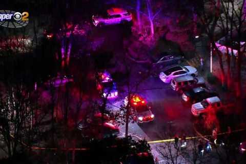 2 Long Island officers stabbed, suspect killed