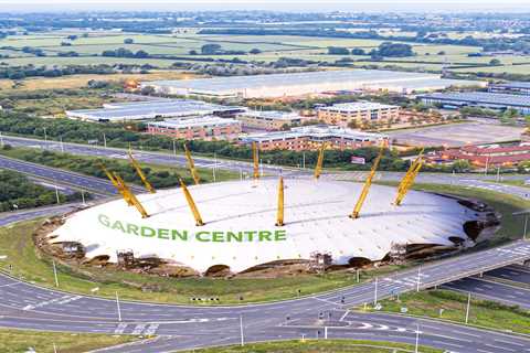 Officials wanted to move Millennium Dome to Swindon and turn it into garden centre