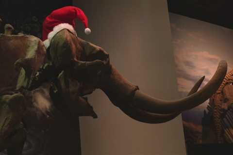 Rockford museum takes residents back to the Ice Age