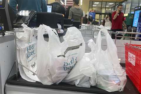 Plastic bag restriction enters result in Media, Haverford Twp.