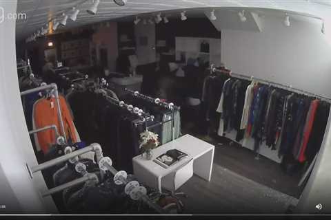 Burglars hit Lincoln Park consignment store for second time