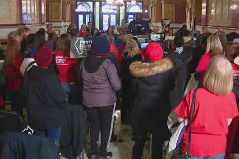 Gun safety advocates rally as Illinois lawmakers weigh assault weapons ban