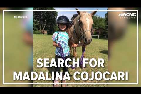 45 days since Madalina Cojocari was last seen