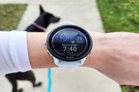 Garmin Forerunner 955 Solar running watch review: The power to persevere