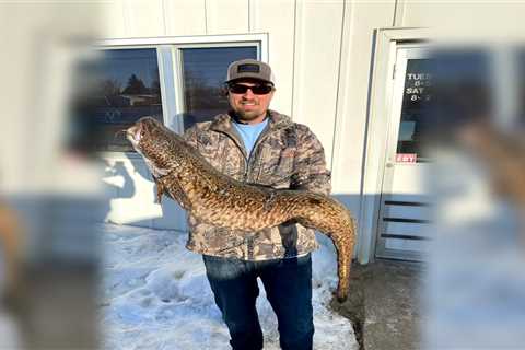 North Dakota Angler Catches State-Record Burbot from Missouri River Tailrace