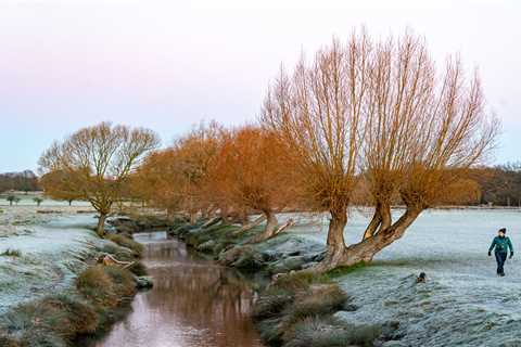 UK weather: Yellow warning for freezing fog set to spark travel chaos today as visibility falls..