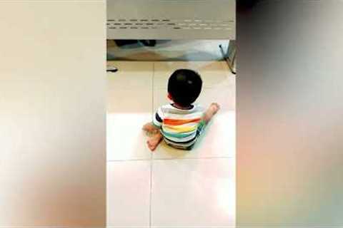 Sweet pet dog and toddler play peek-a-boo under office desk