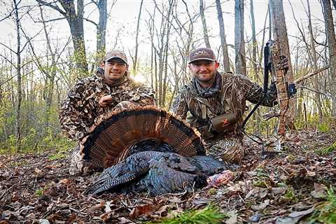 Best Turkey Decoys for 2023