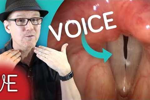 Vocal Cords 101: Everything You Need To Know About How They Work For Speech And Singing