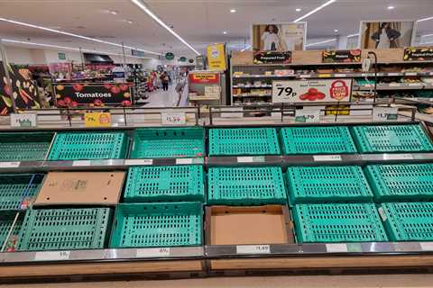 Supermarket veg shortage ‘to last WEEKS’, MP warns as stores battle to fix supply