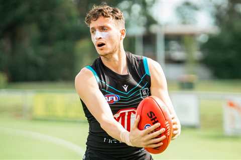 Port Adelaide Power pre-season news, training, fitness, injuries, Orazio Fantasia, Jason..