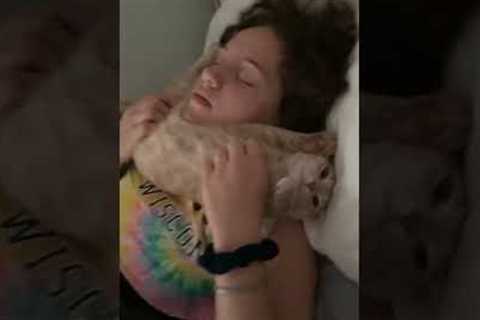 Adorable kitty finds her new favorite nap spot