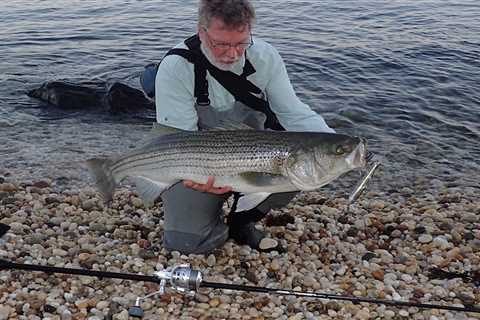 The Best Baits for Striped Bass of 2023, Tested and Reviewed