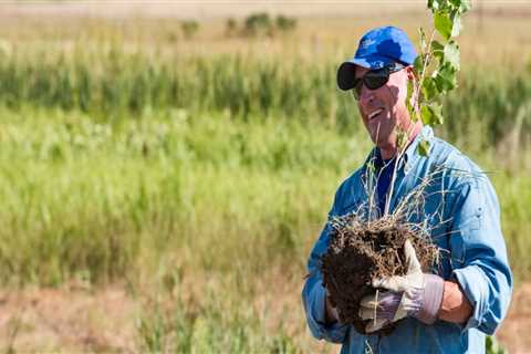 Volunteer in Denver and Make a Difference