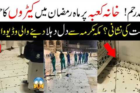 Qayamat ki nishani // Viral video of Weird insects attack on Khana kaba // Haram sharif main keeray