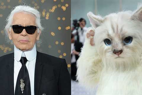 Karl Lagerfeld’s Beloved Cat Choupette Issued a Statement About Missing the Met Gala 2023 | 2023..