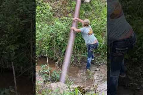 Mother-in-law's attempts to cross creek