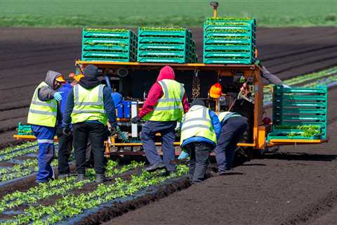 Mass immigration has not made UK more productive, admits Government’s top expert