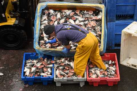 Foreign fishermen will be invited to man British boats amid major skills shortage