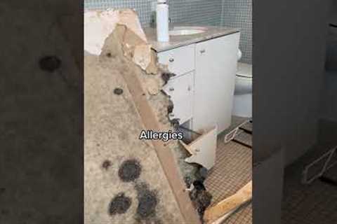 Woman finds horrific mould infestation in her house