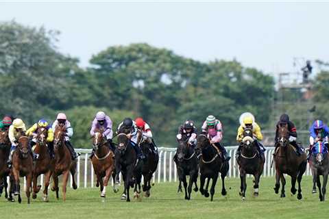 Today on Sky Sports Racing: Charlie Appleby among stars on show at Yarmouth, Ripon and Lingfield |..