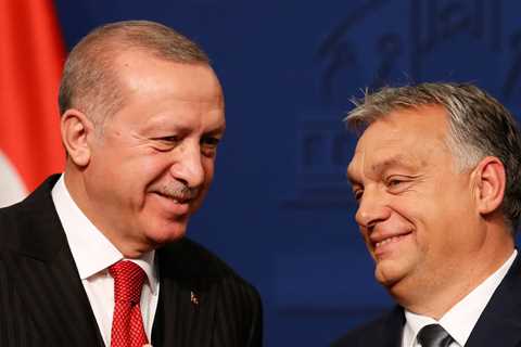 Orban delighted at Erdogan’s victory over ‘Soros’ man’ — RT World News