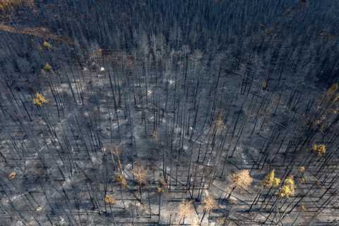 Canada’s ‘worst wildfire season’ is just getting started