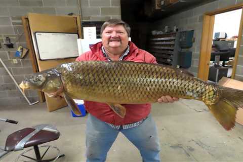 Nebraska Has a New State-Record Common Carp