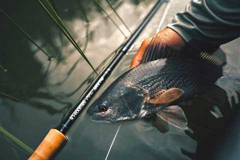 The Best Saltwater Fly Rods of 2023, Tested and Reviewed