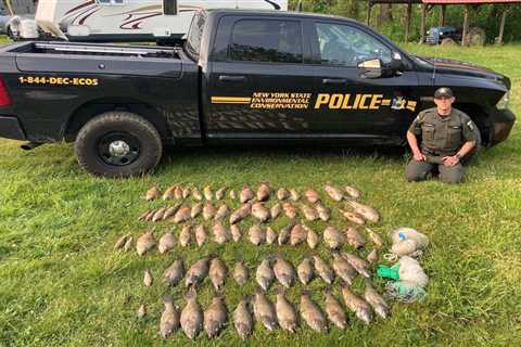 Poachers Caught with 71 Fish Stuffed in Their Backpacks, Including Trophy Bass