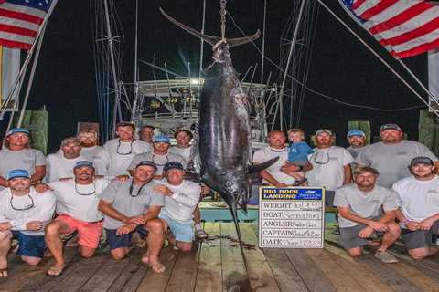 Marlin Catch Disqualified from Tourney Due to Shark “Mutilation.” Costs Anglers $3.5 Million in..