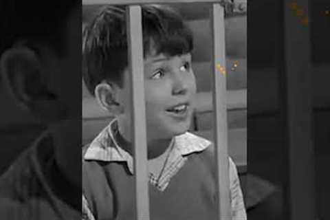 How Jerry Mathers Got the Part #shorts #jerrymathers