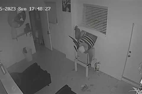 Orlando salon owner says she was victim of break-in caught on camera