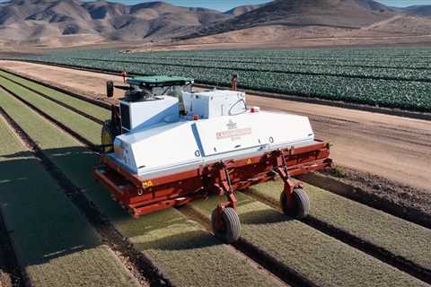 No Hazardous Chemical compounds! Robotic Revolutionizes Weed Management With Precision Lasers