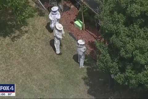 Beekeeper killed in White Settlement fire