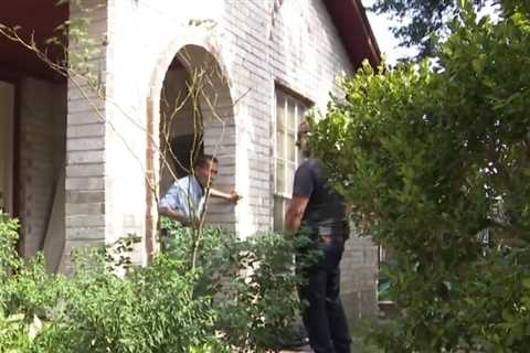 Homeowner cited after rat infestation in Pasadena neighborhood