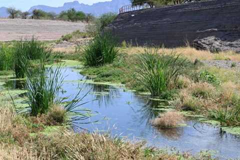 Teachers study science on the Santa Cruz River, teach it later