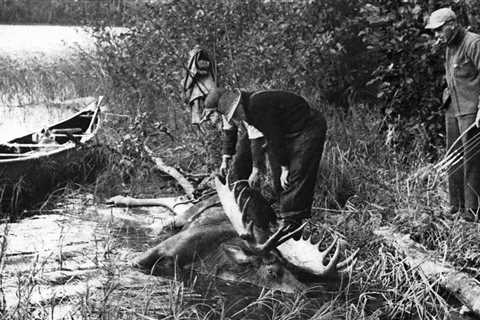 Fred Bear’s First Moose Hunt, from the Archives