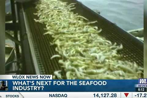 Learn what’s next for the seafood industry