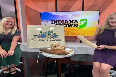 Indiana Grown: E-Love’s Garden – WISH-TV |  Indianapolis News |  Indiana weather