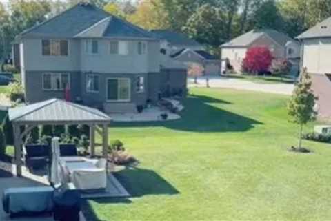 I got my own back on nightmare neighbours complaining gazebo was blocking her view – people think..