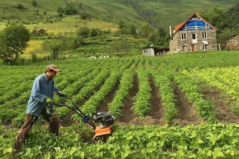 Agriculture sector of Kyrgyzstan to receive substantial funding in 2023