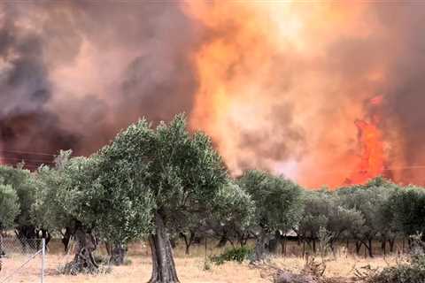 Mediterranean wildfires offer lessons — and warnings — for Europe