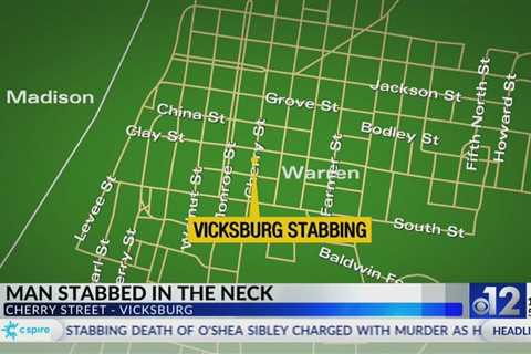 Man stabbed in neck in Vicksburg