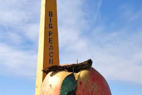 Gloomy joke: giant fruit in southern Indiana